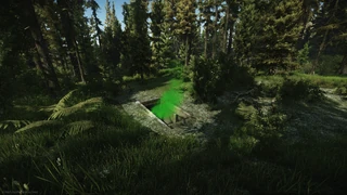 Woods Showcase 8.png