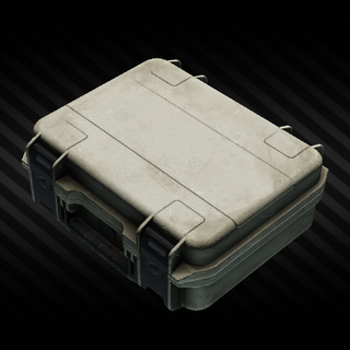 Pistol case