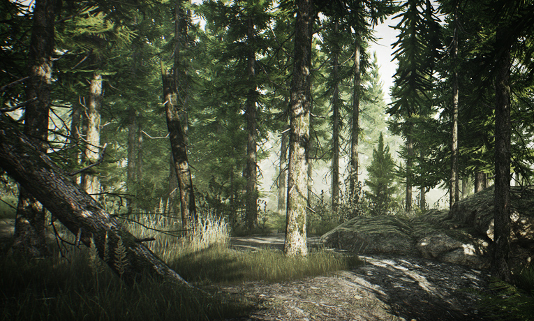 Woods The Official Escape From Tarkov Wiki