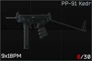 PP-91 Kedr