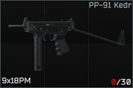 PP-91 Kedr