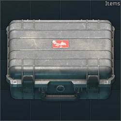 Items case icon