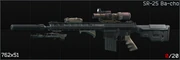 BirdeyeSR25