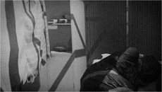 Urban Medicine Banner