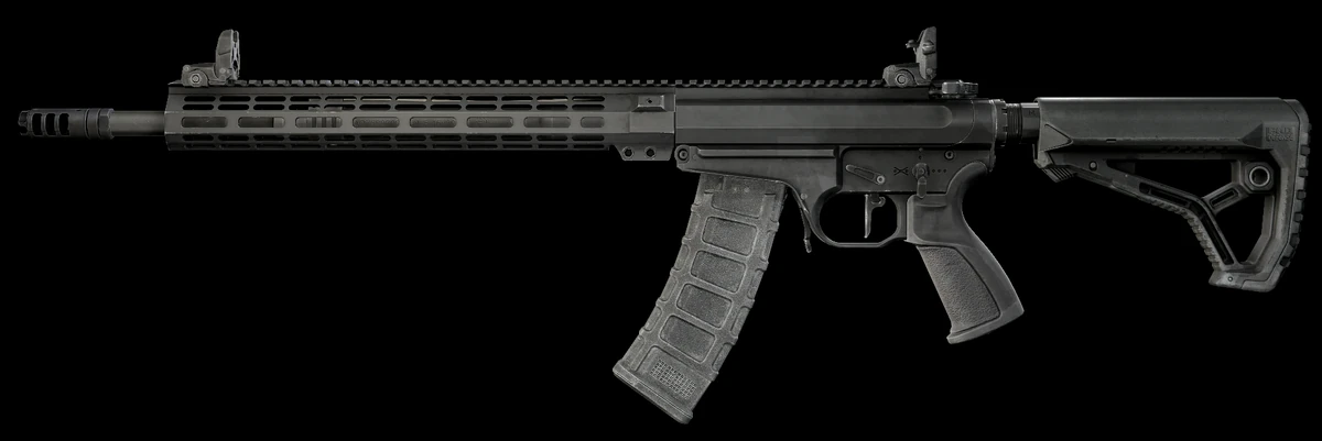 Custom Guns NL545 (DI) 5.45x39 assault rifle - The Official Escape