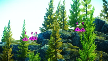 Возможные места появления