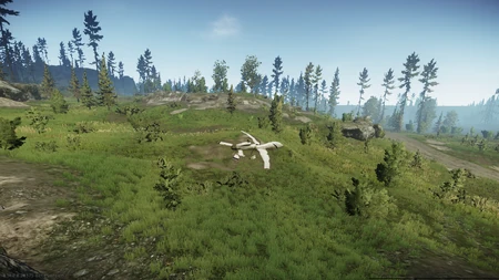 Le second drone se trouve dans un champ à l'est de la station thermale.