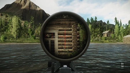 8x magnification in use