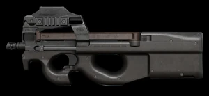 P90Image