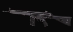 G3 placeholder