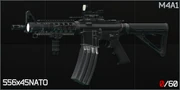 RaiderM4A1