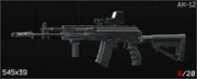 Raider AK-12