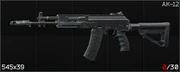 AK-12 Icon