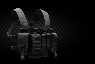 Direct Action Thunderbolt compact chest rig