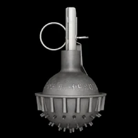 Zarya stun grenade
