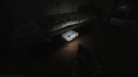 The bank case under the bed