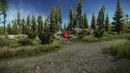 The box with the second controller in it