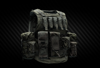 NPP KlASS Bagariy armored rig  Escape from Tarkov+BreezeWiki