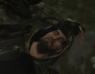 Лицо Зрячего