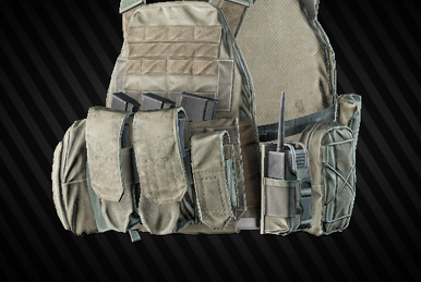 Crye Precision AVS plate carrier - The Official Escape from Tarkov