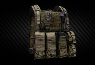 Eagle Allied Industries MBSS plate carrier (Coyote Brown