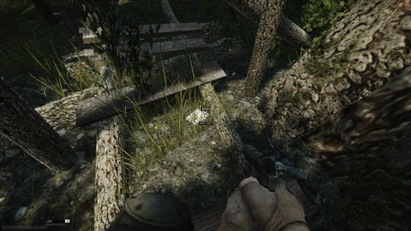 Le message juste en dessous du mirador