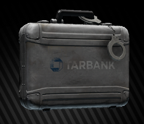 Documents Case | Escape from Tarkov | Video Game Junk