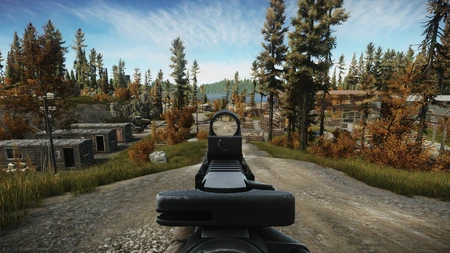 Dot reticle in use