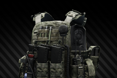 Ars Arma A18 Skanda plate carrier (MultiCam) - The Official
