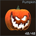 PumpkinHelmetIcon