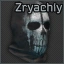 Zryachiy's balaclava icon