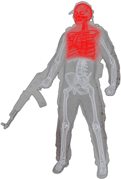 头部与胸部示意图