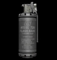 Model 7290 Flash Bang