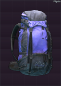 Pilgrim Backpack icon