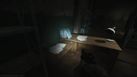 Fifth spawn on the desk