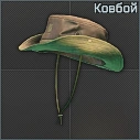 Cow boy hat icon