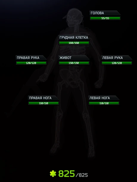 Health Kollontay Security Follower