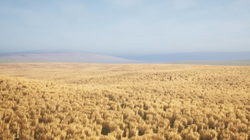 I animated level 10 of the Backrooms (The Field of Wheat) : r