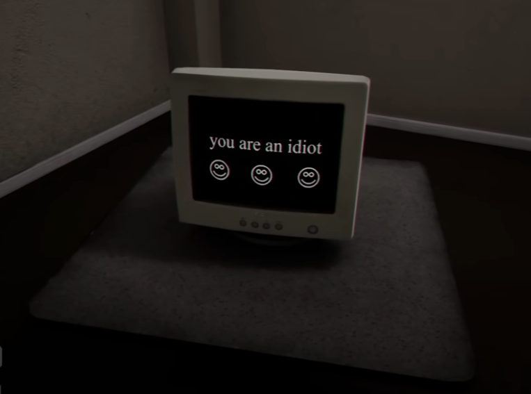 YOU ARE AN IDIOT Computer Monitor