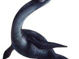 Plesiosaurus