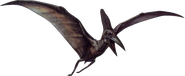 Pteranodon