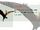 Pteranodon (archivo Dino Stalker)