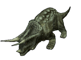 Triceratops