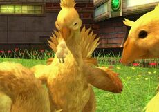 FF13 Chocobo Nido Nautilus