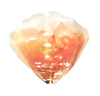 Cristal de Vanille