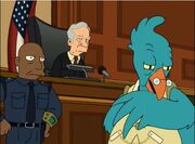 Pollo.jpg