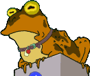 Sapo hipnotico.gif