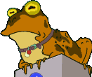 Sapo hipnotico.gif