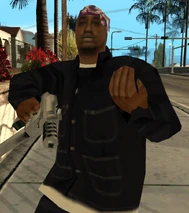 Little Weasel defendiendose