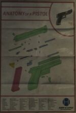 Pistola Anatomía